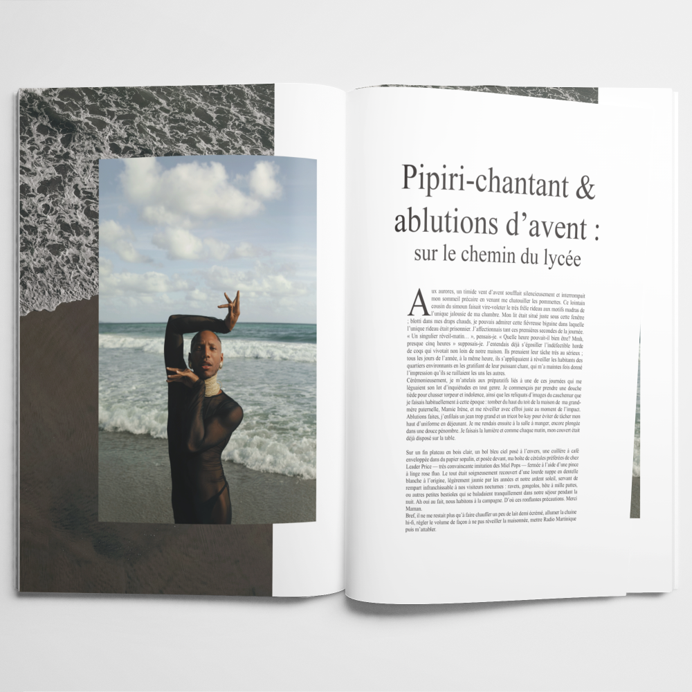 Image livre ouvert - Zetwel